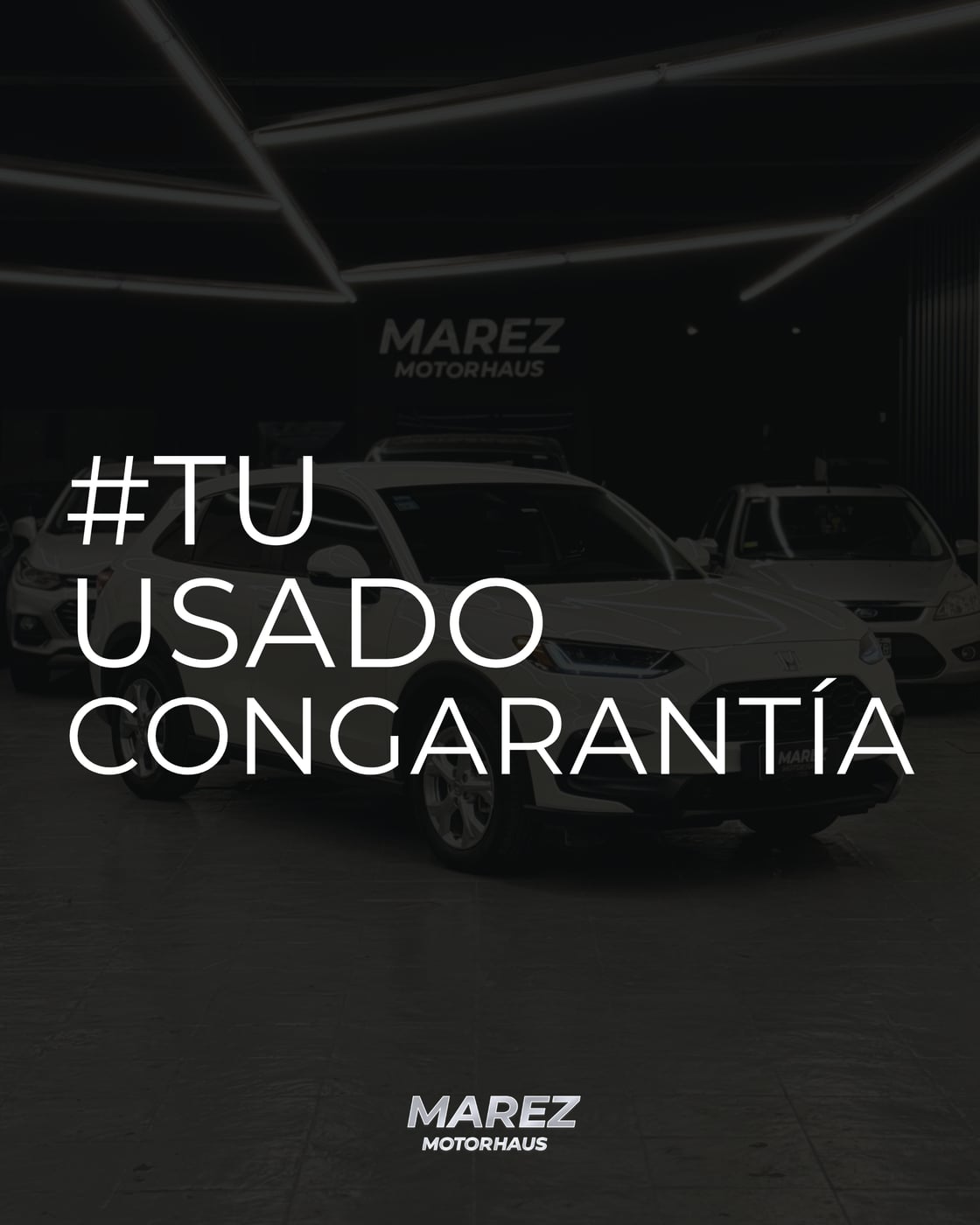 Banner promocional 2