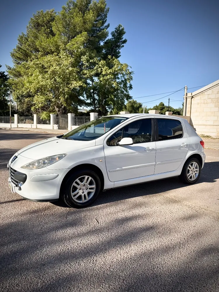 Peugeot 307 XS — foto 6