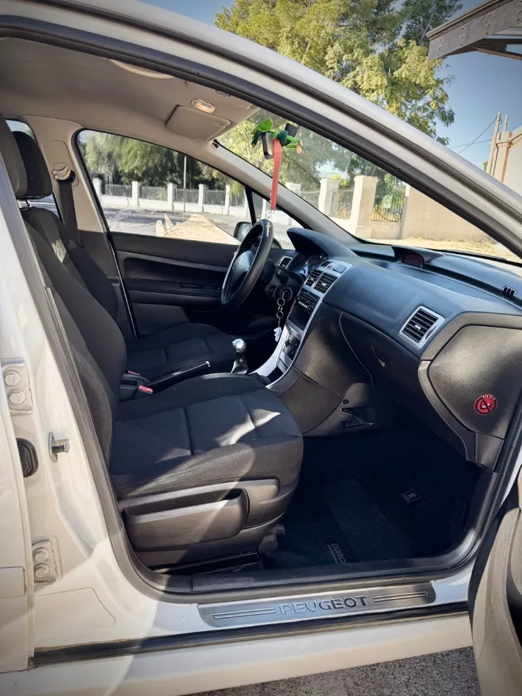 Peugeot 307 XS — foto 8