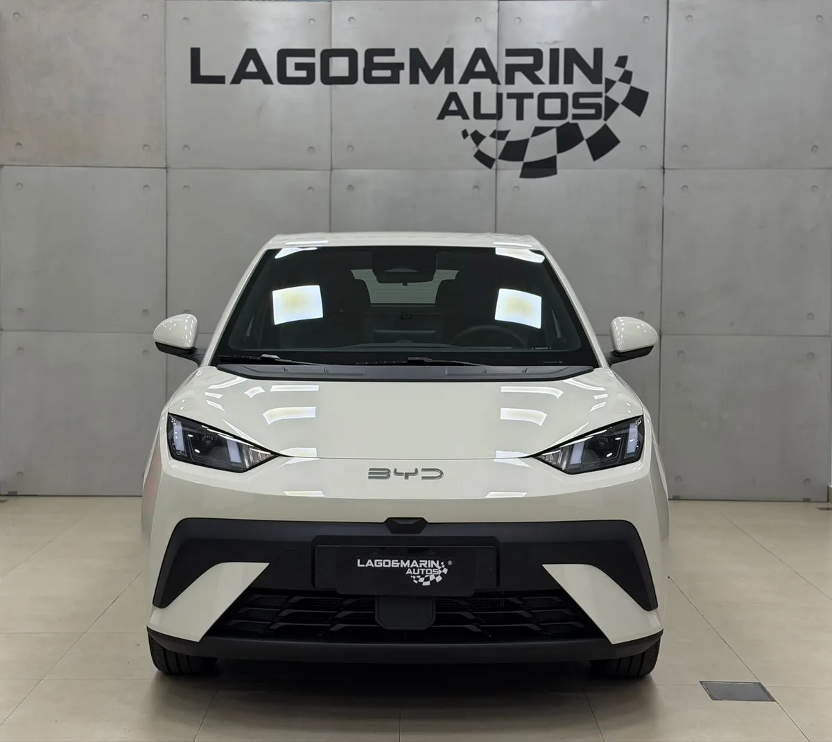 BYD Dolphin GS — foto 2
