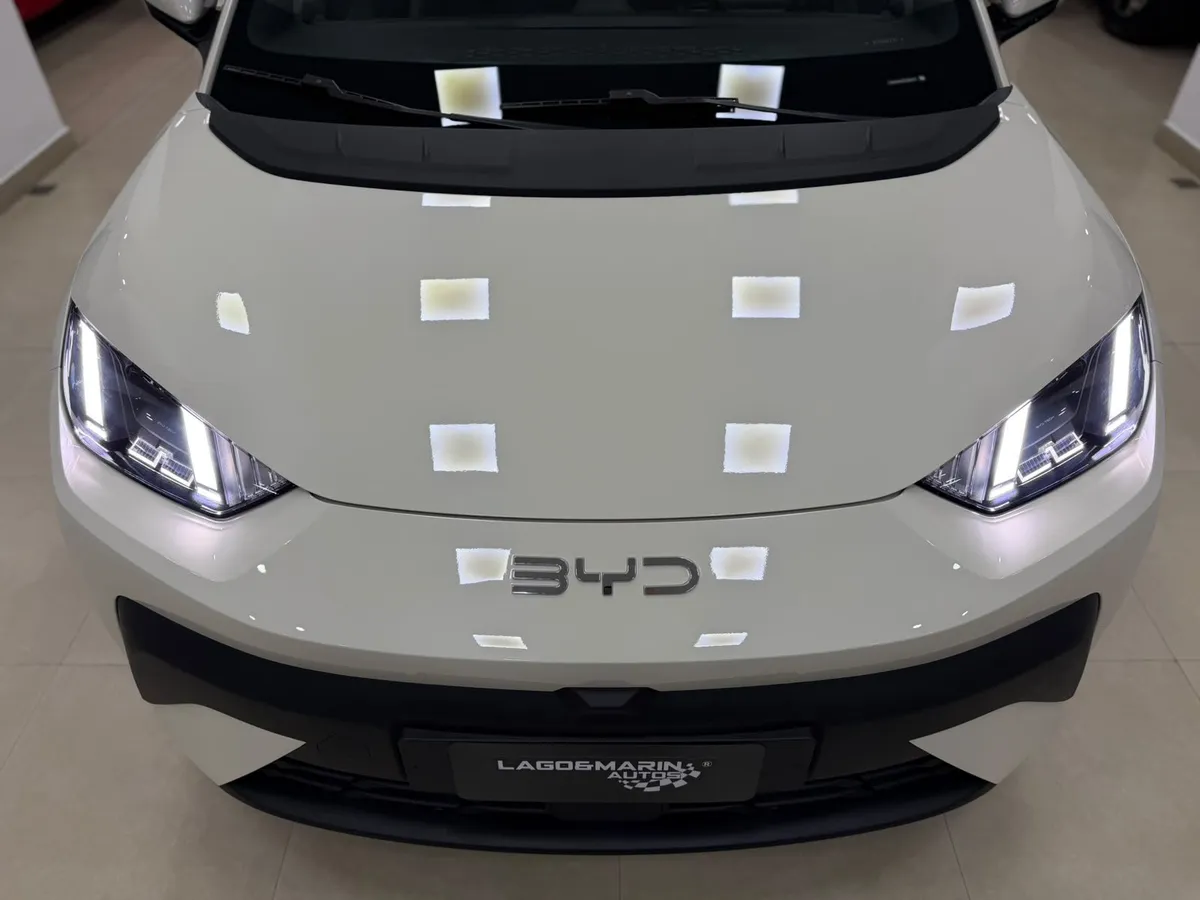 BYD Dolphin GS — foto 3
