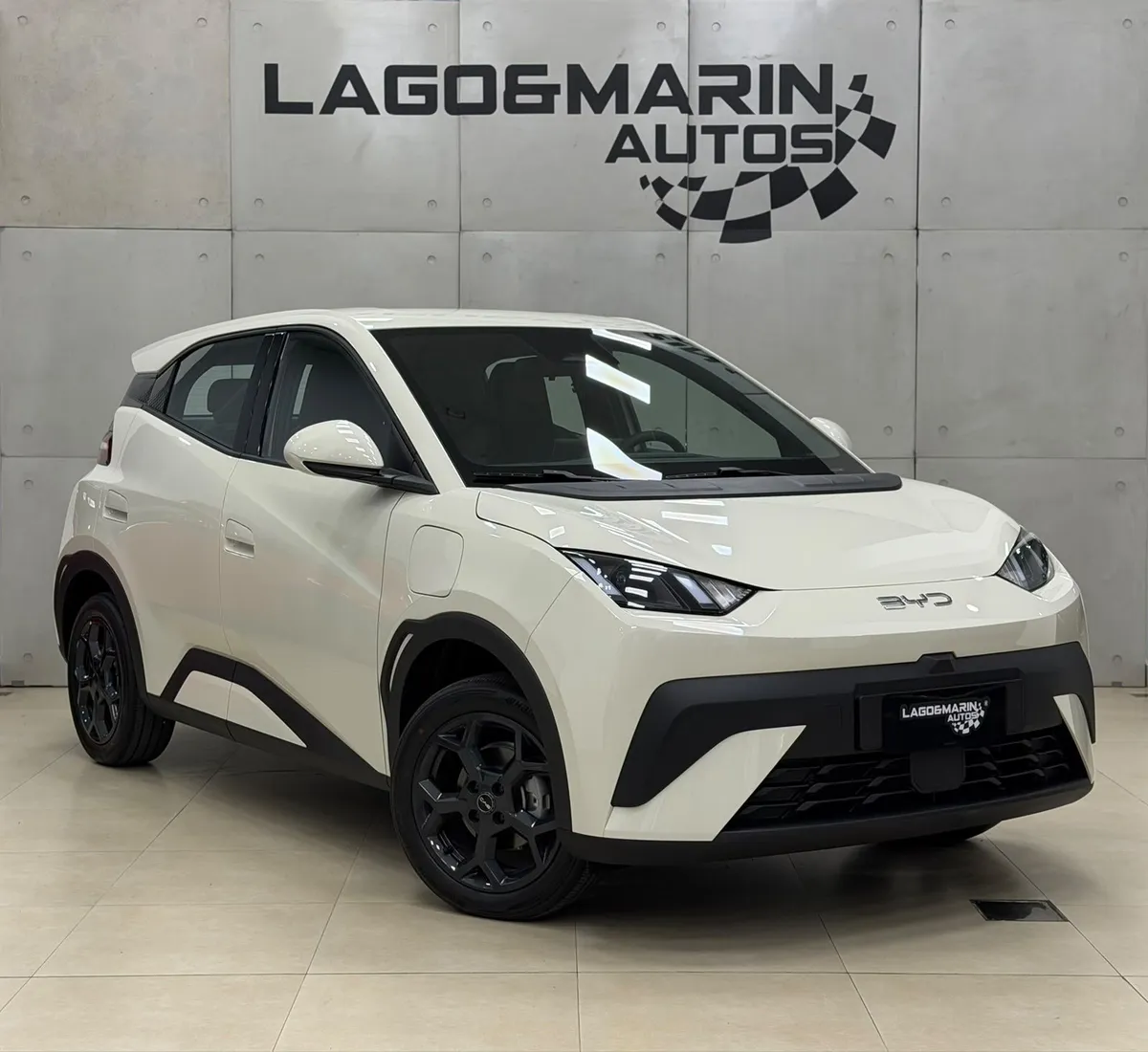 BYD Dolphin GS — foto 4