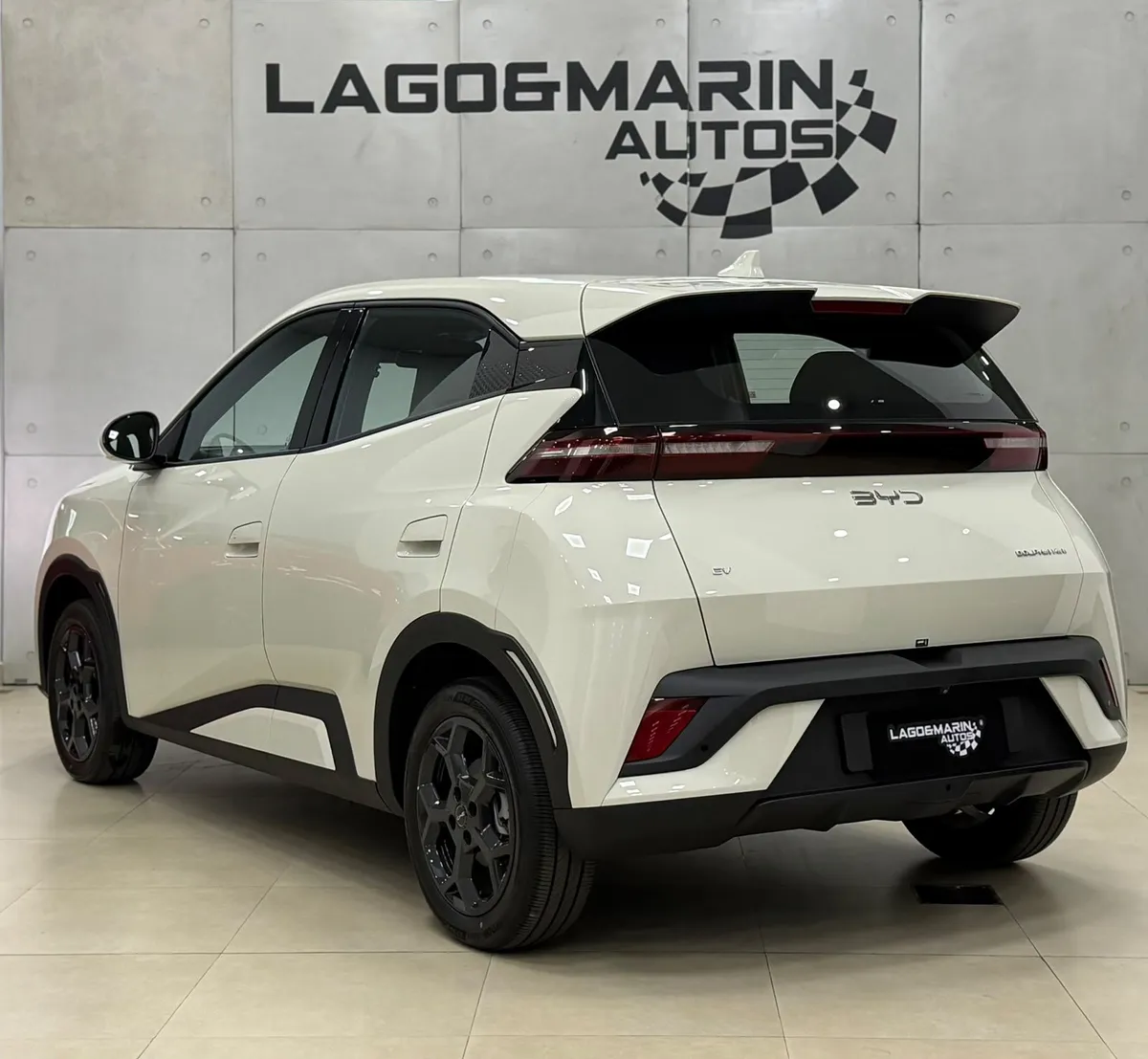 BYD Dolphin GS — foto 7