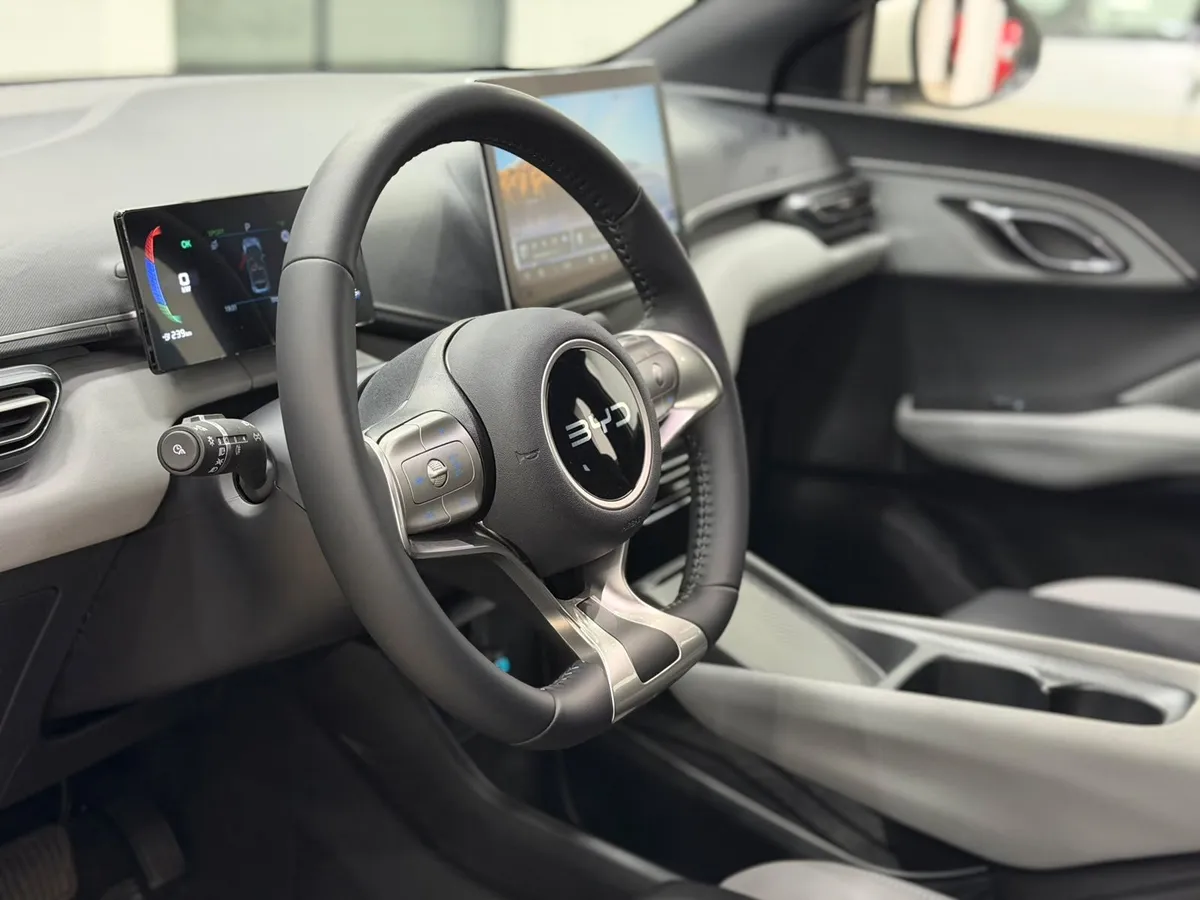 BYD Dolphin GS — foto 8