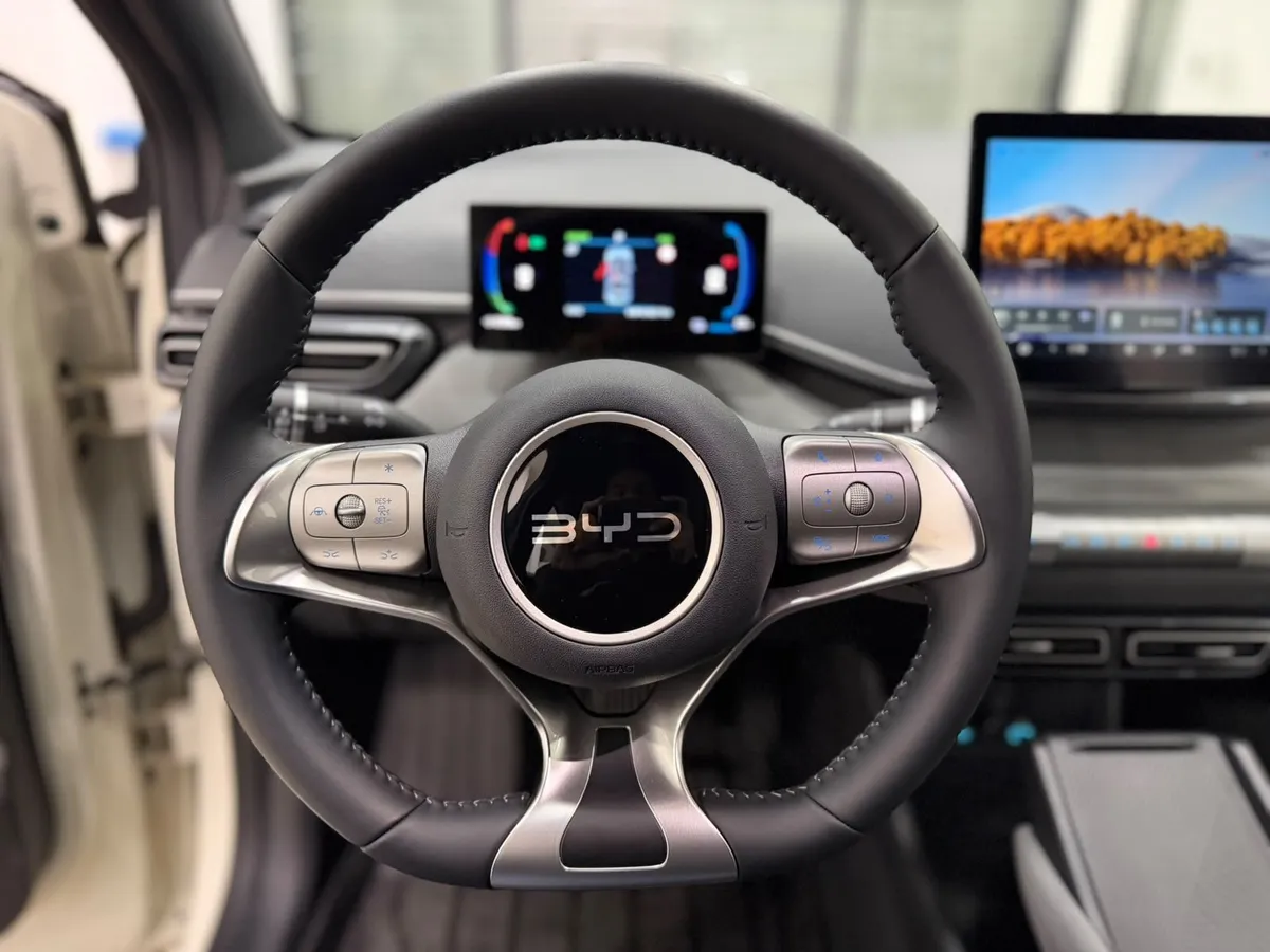 BYD Dolphin GS — foto 9