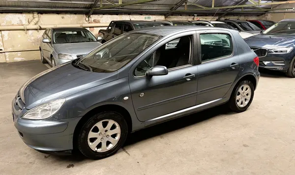 Peugeot 307 5P 1,6 Xs