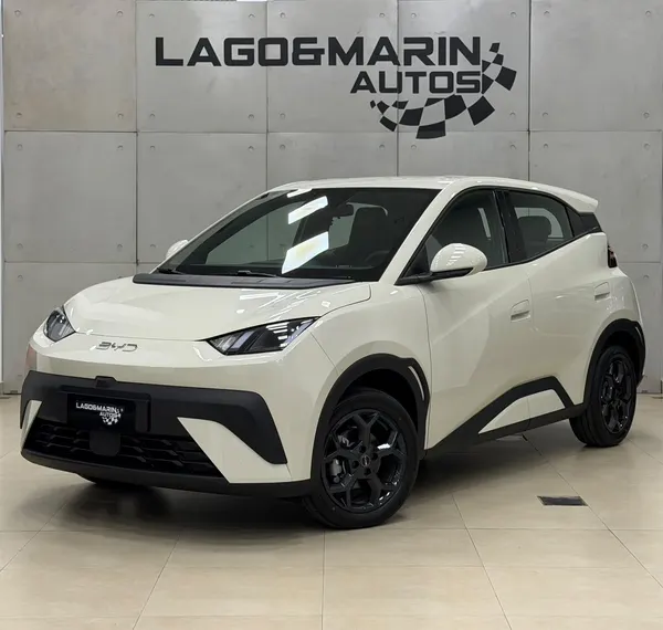 BYD Dolphin GS
