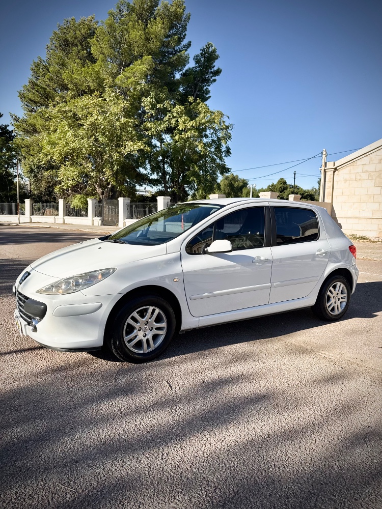 Peugeot 307 XS — foto 6